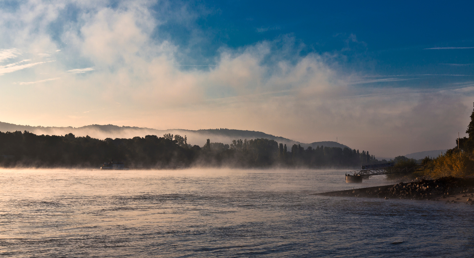 Rhein Nebel 15