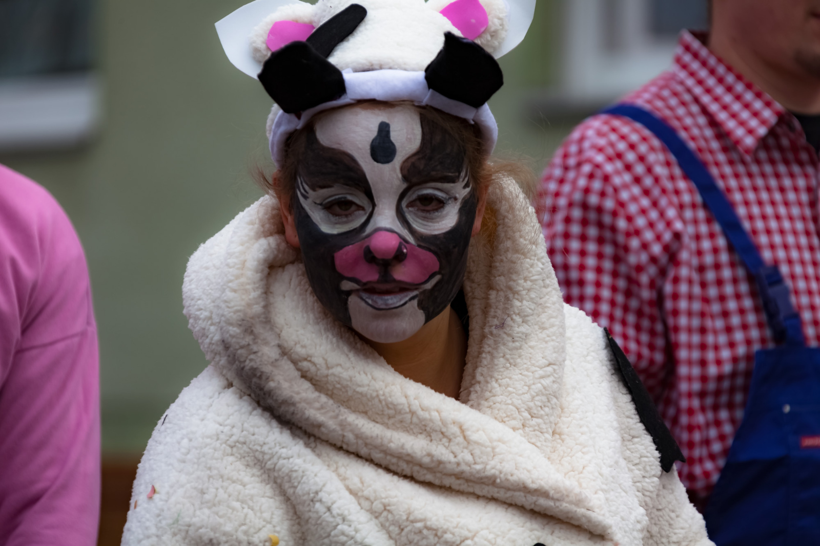 Karneval Rheinbreitbach2017 0361