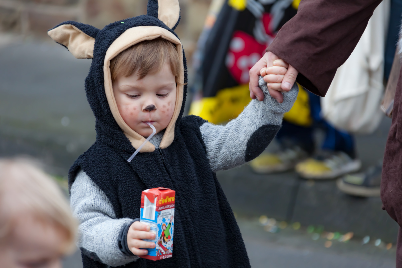 Karneval Rheinbreitbach2017 0519