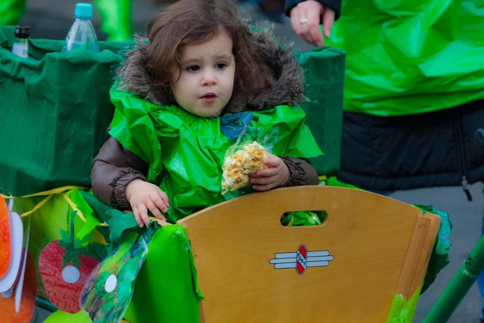 Karneval Rheinbreitbach2017 0529