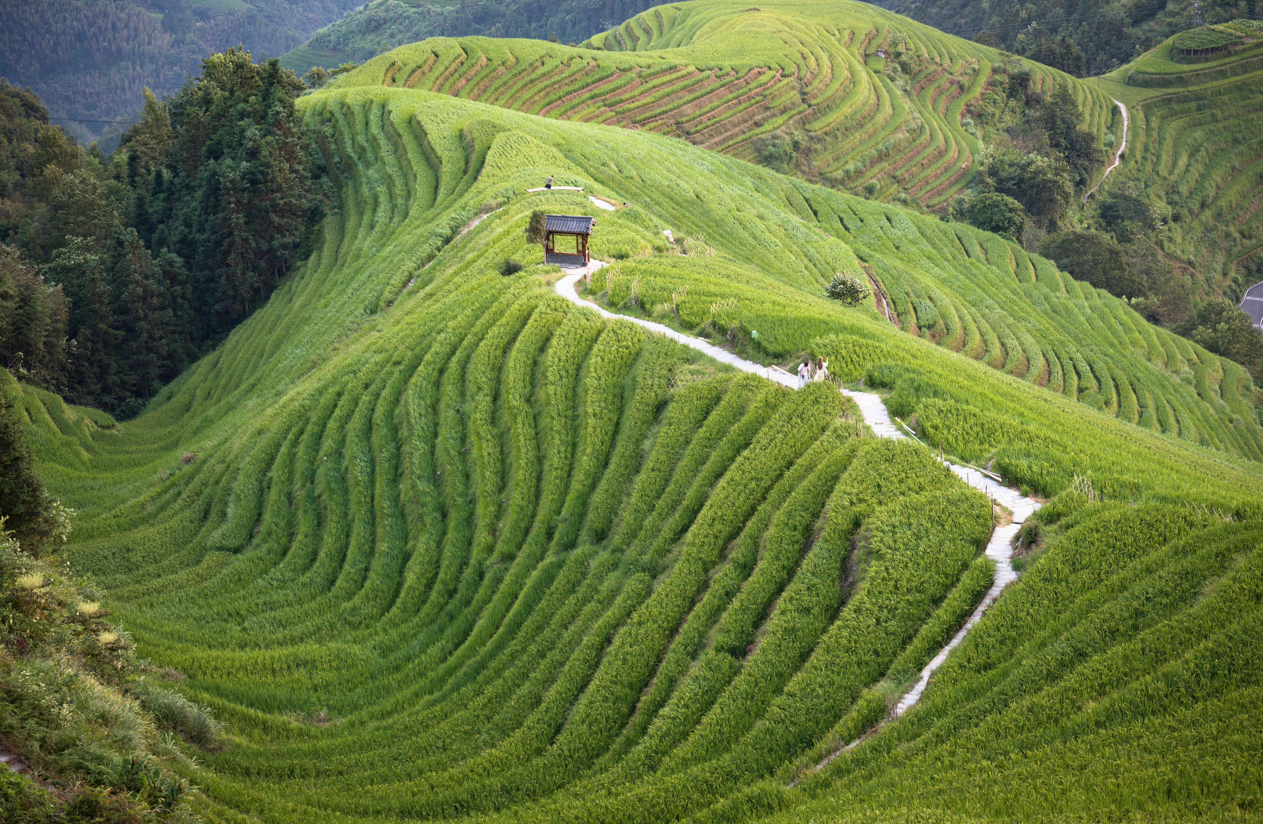 Guilin 07