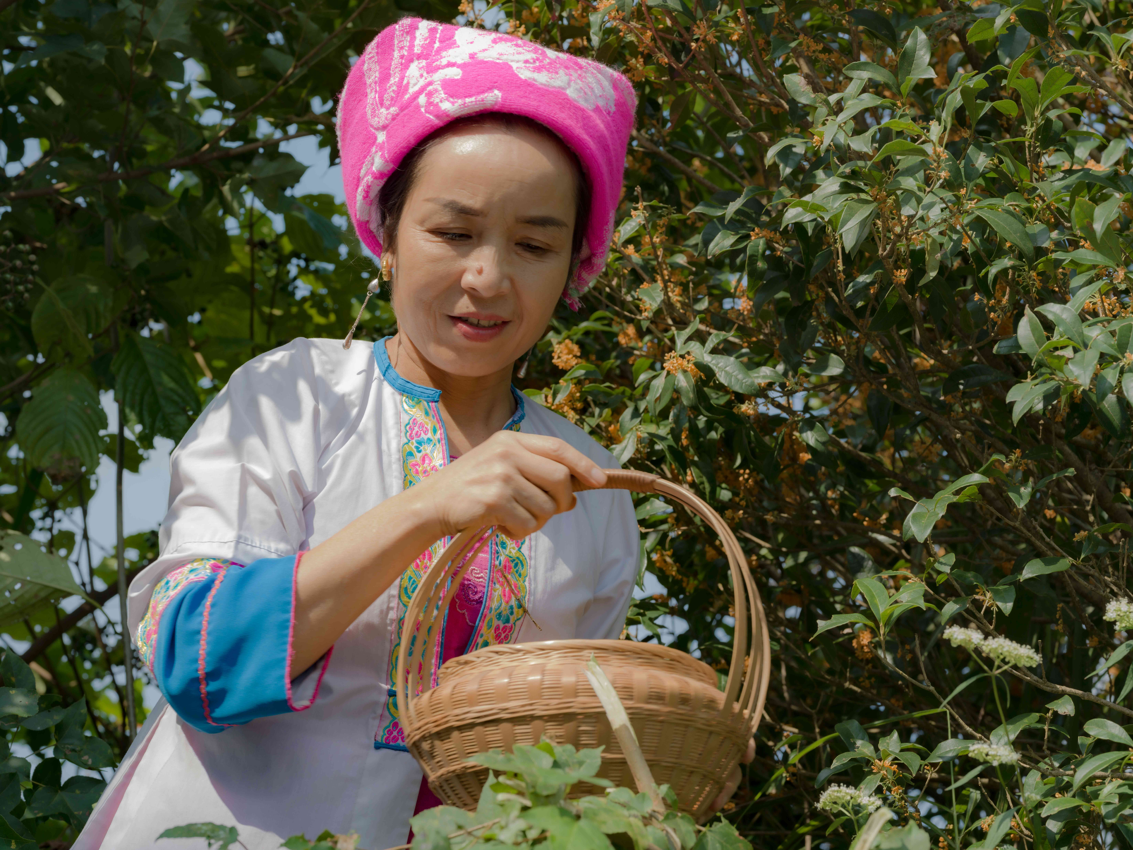 Guilin 10