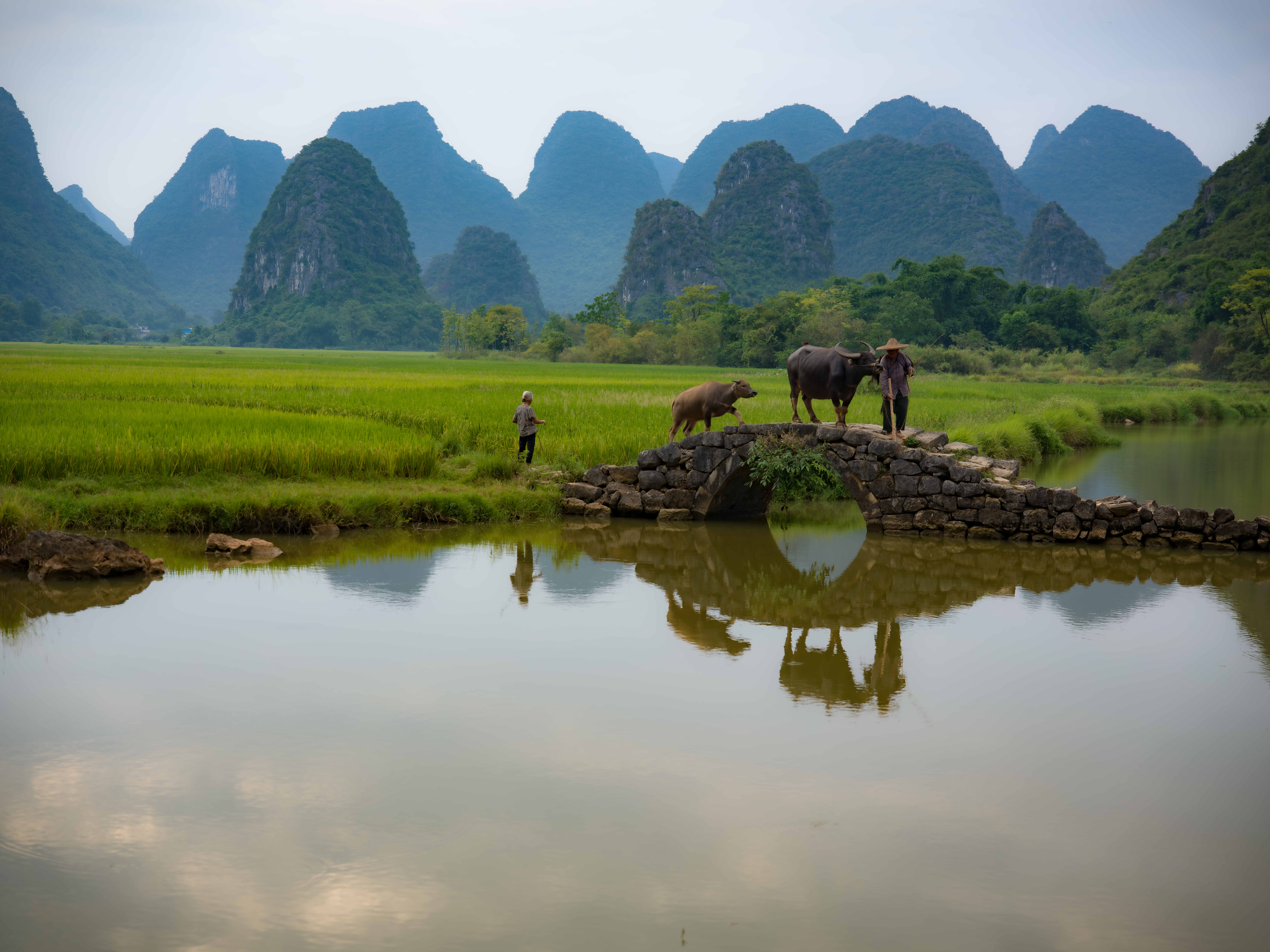 Guilin 33