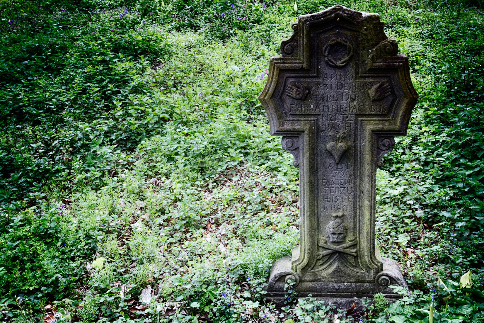 Kloster Heisterbach 0128