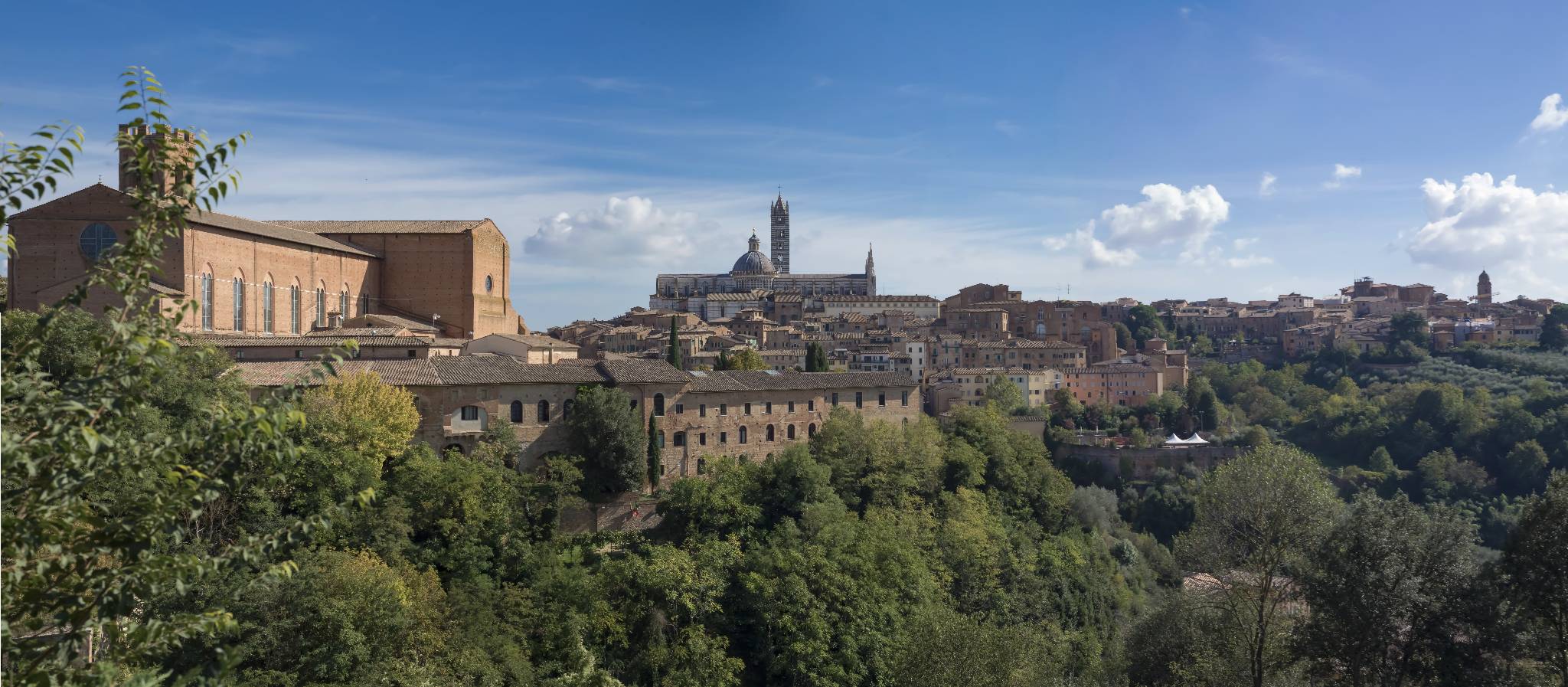 Siena Panorama 5